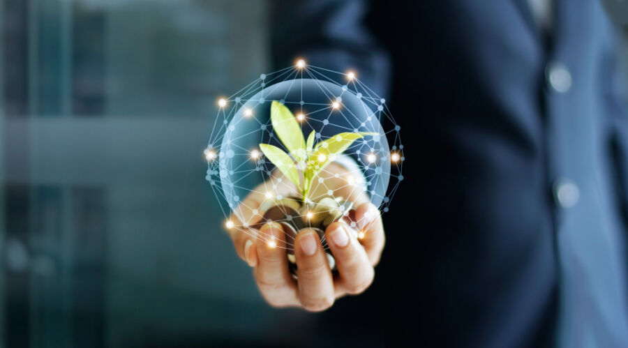 Businessman,Hand,With,Coins,And,Sprout,In,Network,Connection.,Plant