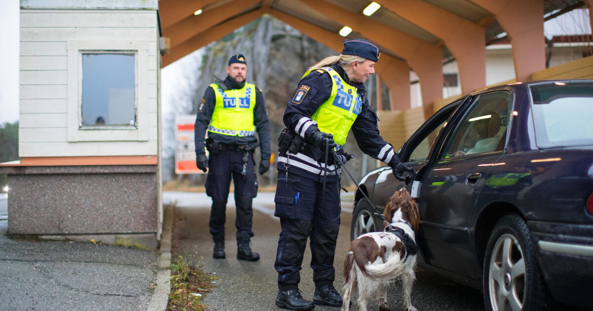 Ny tullavgift för importföretag dags att förbereda för CBAM Sinf